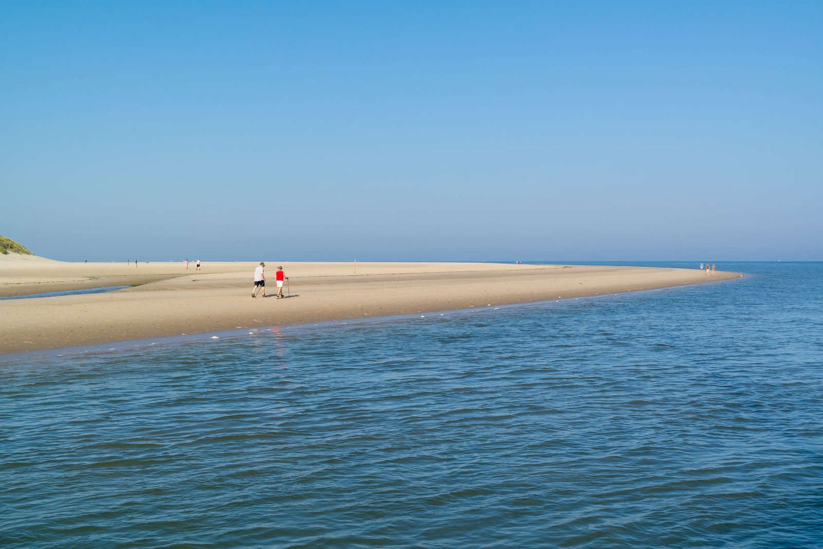 texel-en