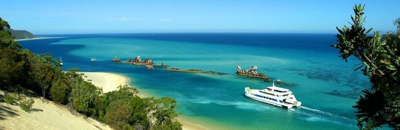 Micat from the Sand Dunes - Moreton Island