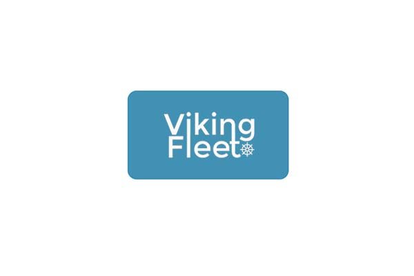 viking fleet