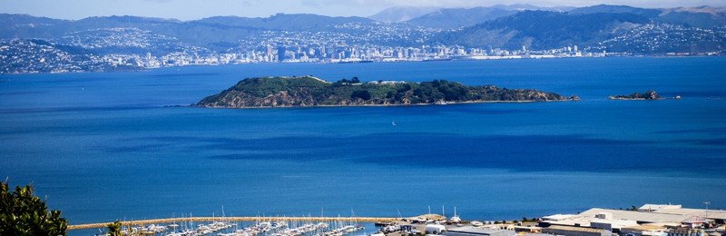 NZ Ferry troubles slowly getting better