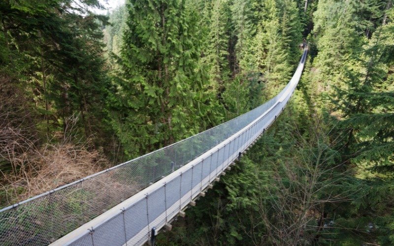 Capilano Suspension Bridge Park